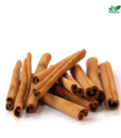 Cinnamon wholesale by TasnuvaeWorld company – high-quality cinnamon sticks and powder in bulk for export and distribution