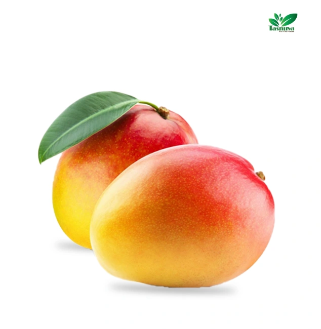 Mango wholesale by TasnuvaeWorld company – fresh ripe mangoes in bulk for export and commercial distribution