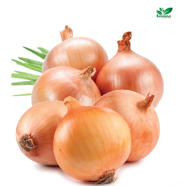 Onion wholesale by TasnuvaeWorld company – fresh red and white onions in bulk for export and wholesale distribution